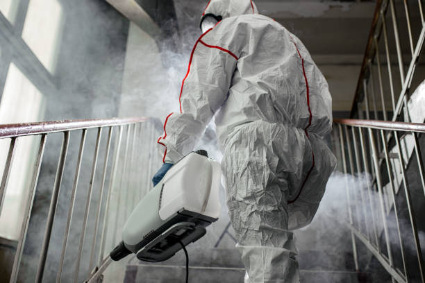 Colesville, MD Mold Removal Company